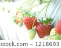 一個草莓 1218693