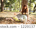 A woman sitting on fallen leaves 1220137