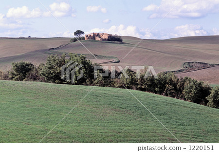 hill, grassland, meadow 1220151