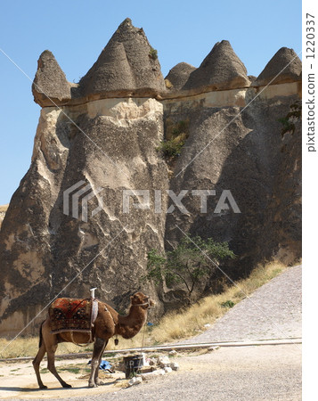 世界遺產“幽靈國家公園和卡帕多西亞洛基集團”“Pashaba(Camellia Mushroom)Camel”(土耳其) 世界遺產“幽靈國家公園和卡帕多西亞洛基集團”“Pashaba(Camellia Mushroom)Camel”(土耳其) 1220337