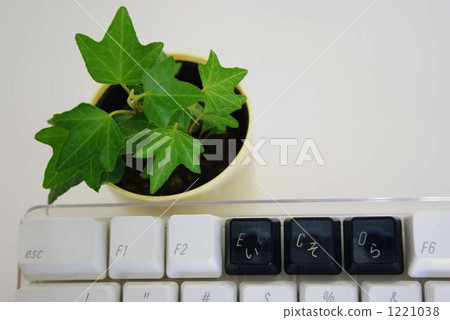 鍵盤 生態學 生態 1221038