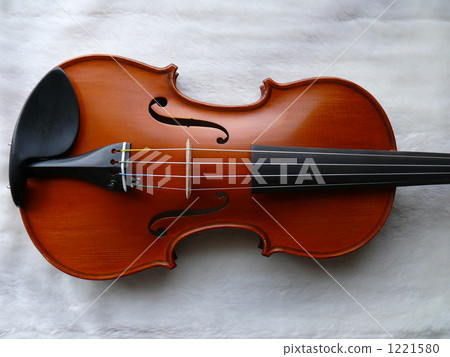 小提琴 弦樂器 1221580