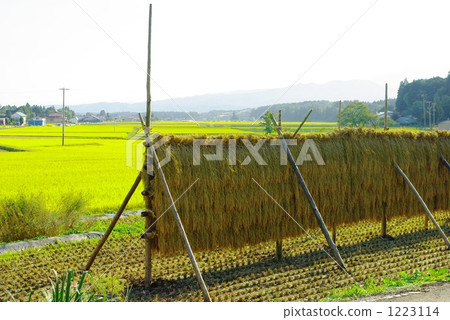 Rain sunny sun 1223114