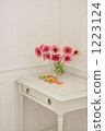 Gerbera and Jelly Beans 1223124