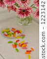 Gerbera and Jelly Beans 1223142