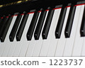 鍵盤 1223737
