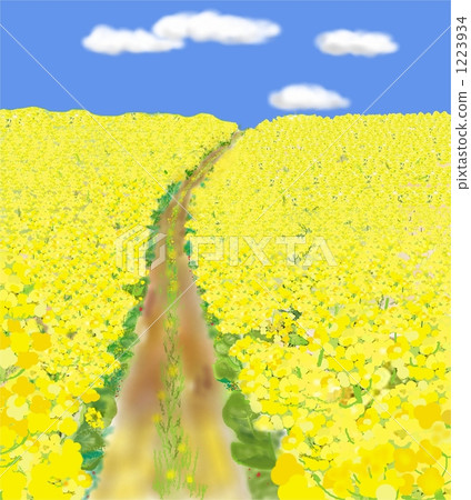 油菜田的一條路 油菜田的一條路 1223934