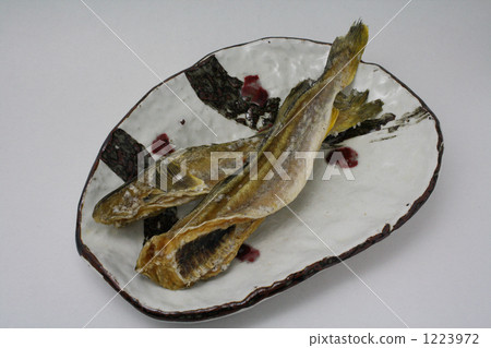 Fish under ice 1223972
