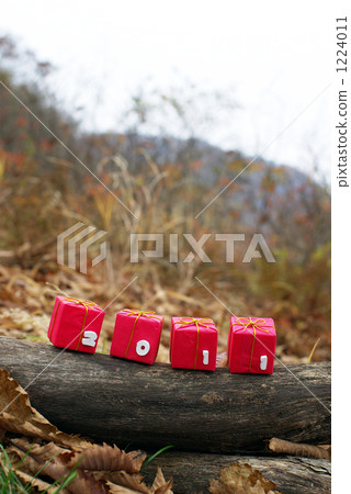 2011年禮品 2011年禮品 1224011