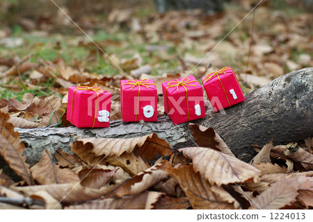 2011年禮品 2011年禮品 1224013