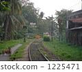 Landscape with tracks 1225471