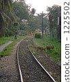 Landscape with tracks 1225502