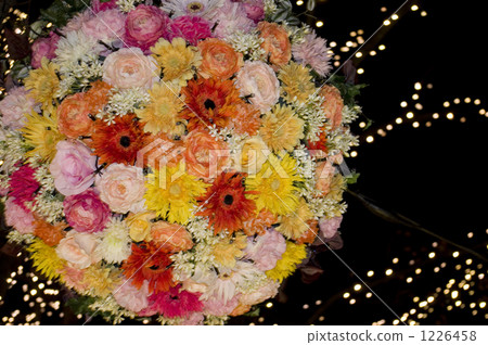 flower, flowers, bouvardia 1226458