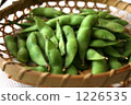 Edamame 1226535