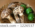 Matsutake and Sudachi 1226537