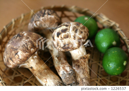Matsutake and Sudachi 1226537