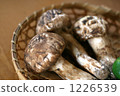 Matsutake and Sudachi 1226539