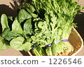 Fresh vegetables 1226546