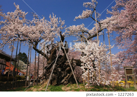 Sayaka Yamakuchi Sayaka Yamakuchi 1227263