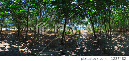 Ame Beach Campground Panorama 1227482