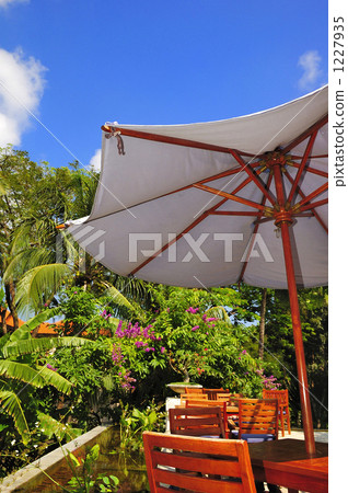 花園露台 櫃檯椅 人工林 1227935