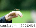Hand riding dragonfly 1228434