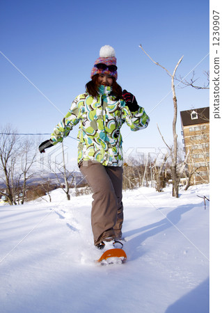 Snowshoe Inung Snowshoe Inung 1230907