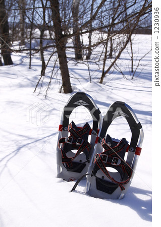 Snowshoe 1230936