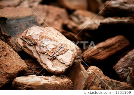 Wood chip 1231509