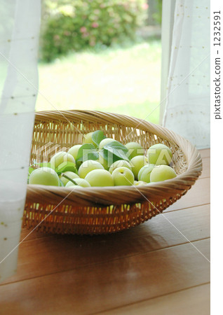 basket, unripe plum, natural light 1232591