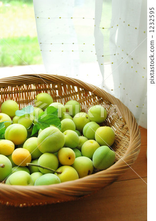 nanko-ume plum, umeshu making, making umeshu 1232595