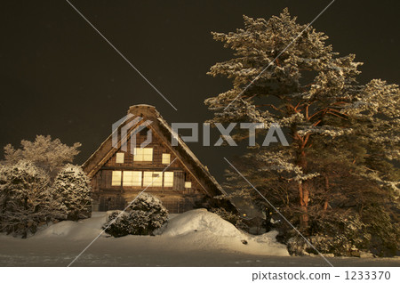 長滿茅草的椽架屋頂 白川鄉 茅草屋頂 1233370