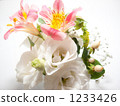 Bouquet 1233426