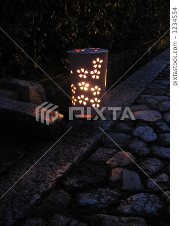 Kyoto Flower Light Road 1234554