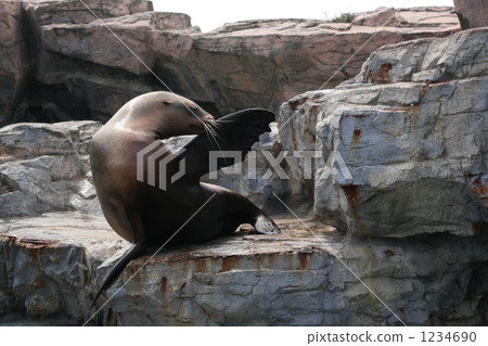 密封 水族館 1234690