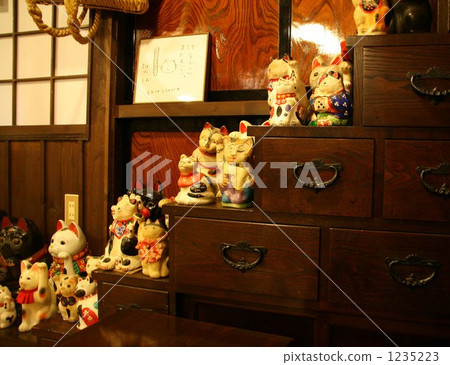 Imitation cat 1235223