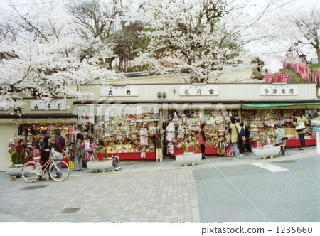 Shops and cherry blossoms 1235660