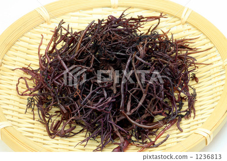 Funori Funori 1236813