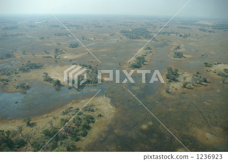 Okavango Delta 1236923