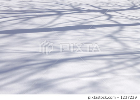 Branch pattern on snow 1237229