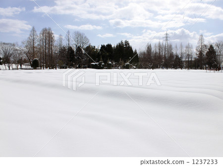 Snowy landscape in the park 1237233