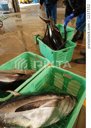 Tuna of nearby objects 1237352