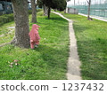 path, lane, child 1237432