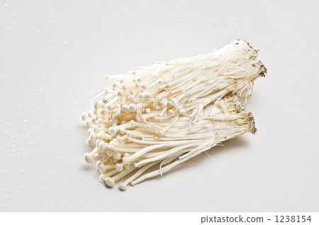 日本朴樹 羊肚菌 蘑菇 1238154