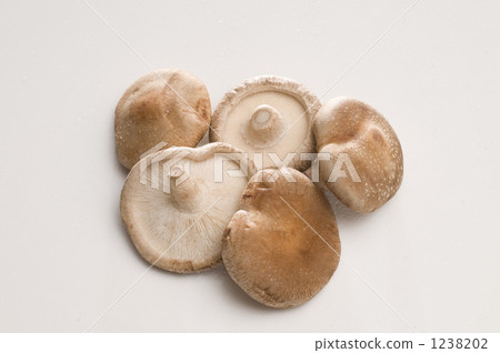 椎茸 羊肚菌 蘑菇 1238202