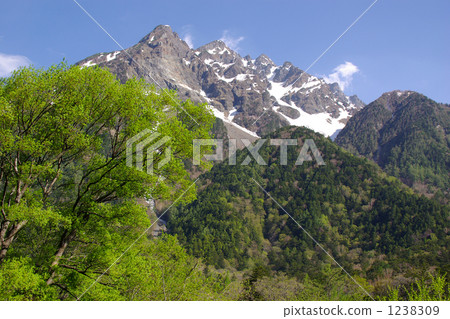 晃明的新鮮綠色 晃明的新鮮綠色 1238309