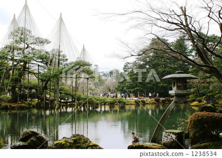 Snow hanging Kenrokuen Kanazawa 1238534