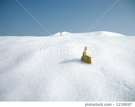 一隻雪兔 一隻雪兔 1239097