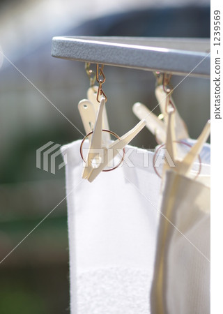 Hanger and white laundry Hanger and white laundry 1239569