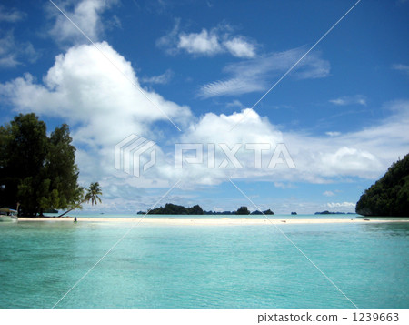 South Island and the sea 1239663